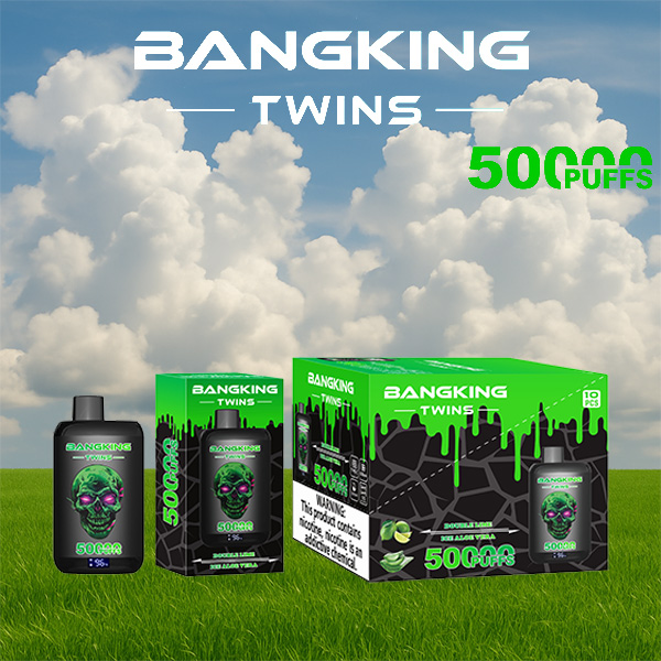 Bang King Twins 50000パフ Vape | 650mAh、デュアル28mlポッド | 12